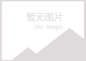 文山县从彤造纸有限公司